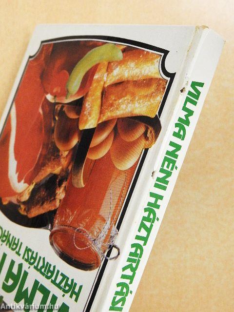 Vilma néni háztartási tanácsadója