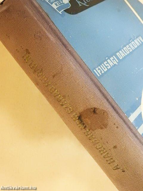 "A harcban nem szabad megállni..."