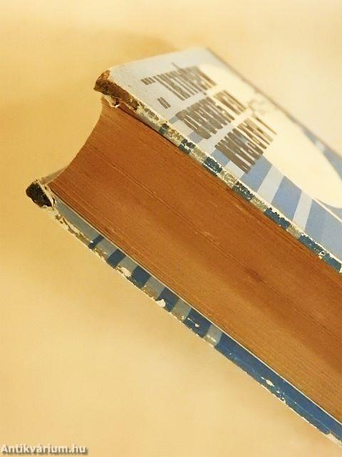 "A harcban nem szabad megállni..."