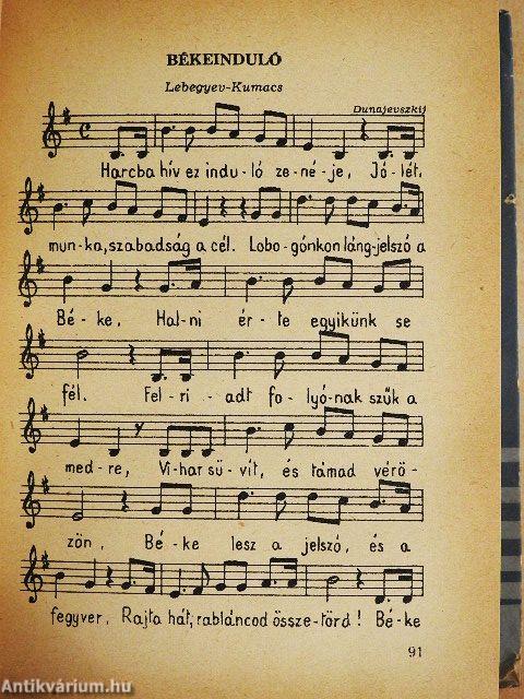 "A harcban nem szabad megállni..."