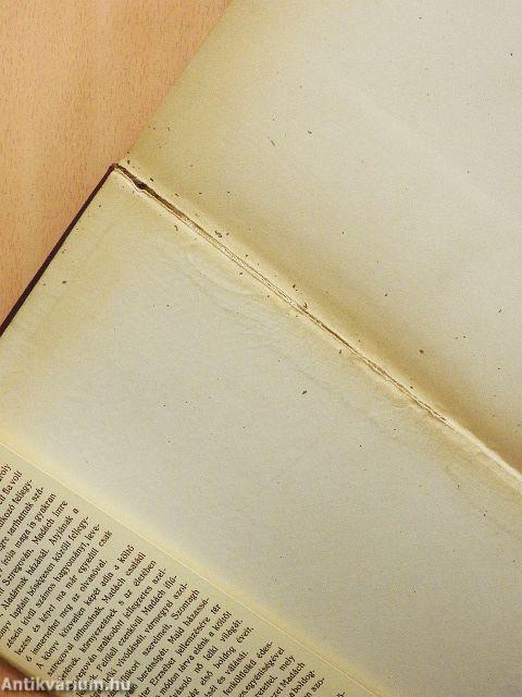 Madách az ember és a költő