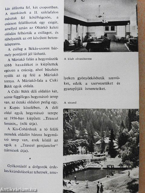 Gyilkostó és környéke