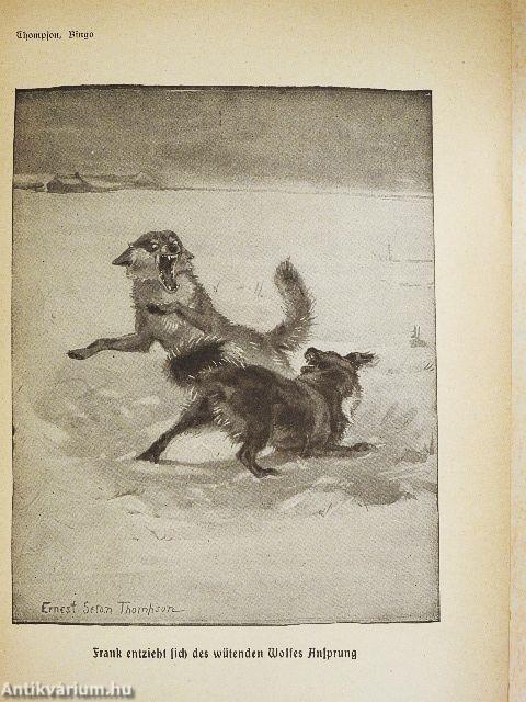 Bingo und andere Tiergeschichten (gótbetűs)