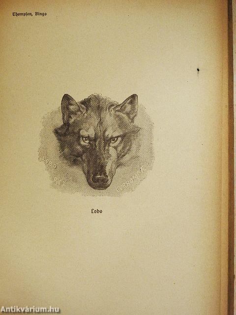 Bingo und andere Tiergeschichten (gótbetűs)