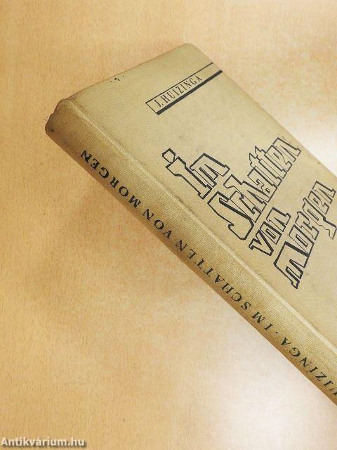 Im Schatten von morgen