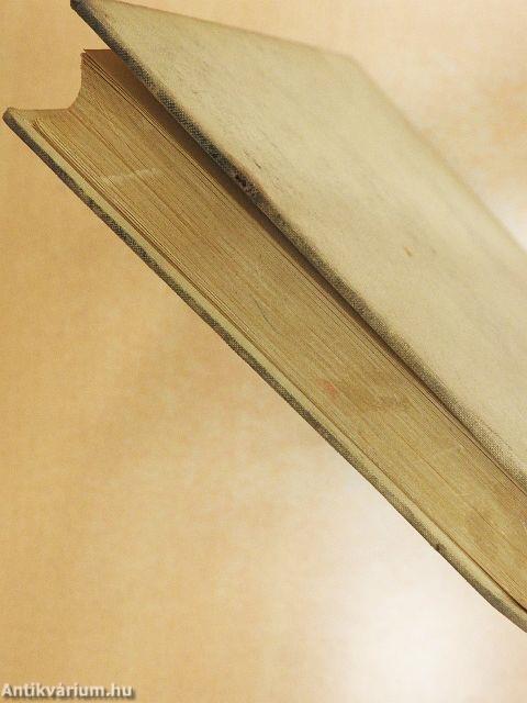 Im Schatten von morgen