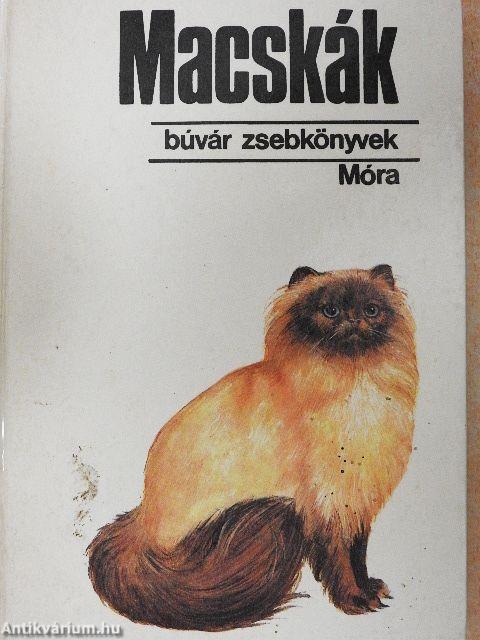 Macskák