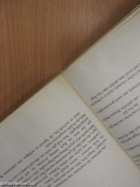 Halt die Augen Offen