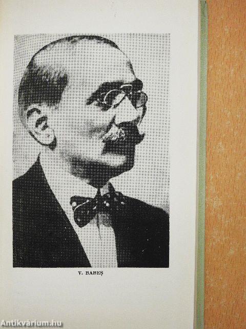 Egészségügy és politika
