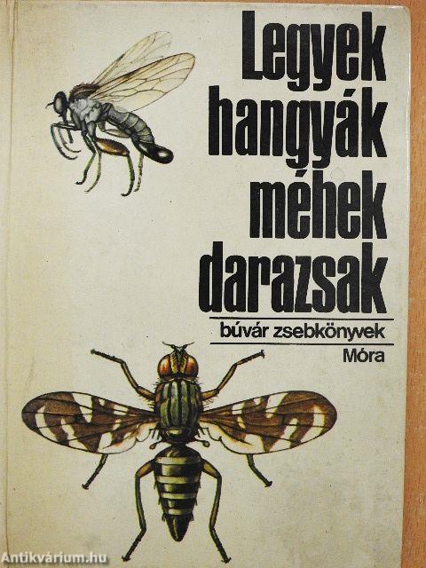 Legyek, hangyák, méhek, darazsak