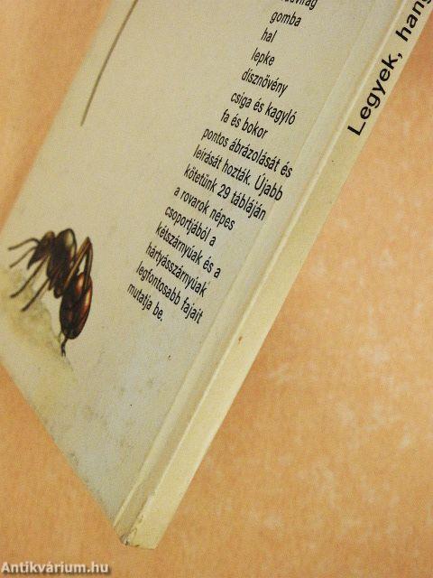 Legyek, hangyák, méhek, darazsak