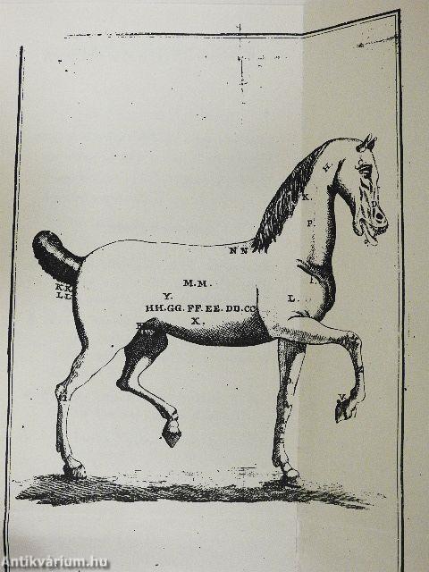 Lovakat orvosló-könyv