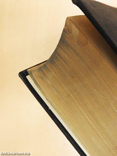 English-German/German-English Dictionary I.