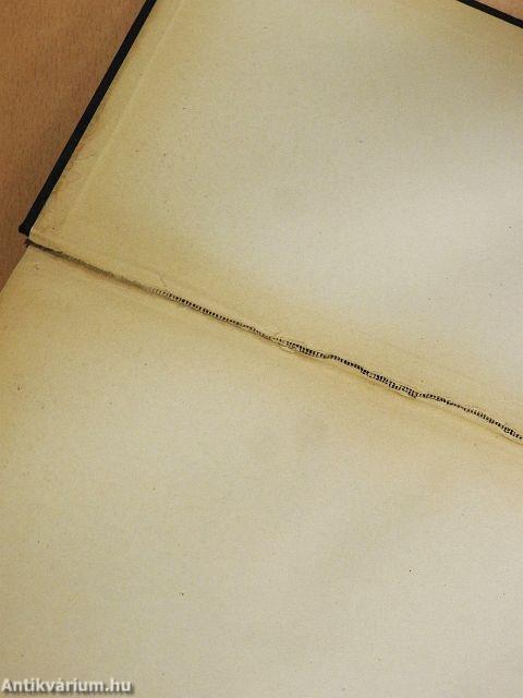 English-German/German-English Dictionary I.