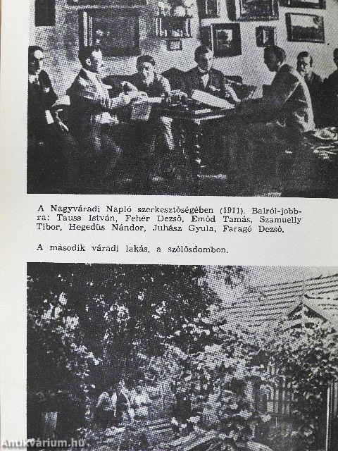 Nincs szebb jövendők májusánál