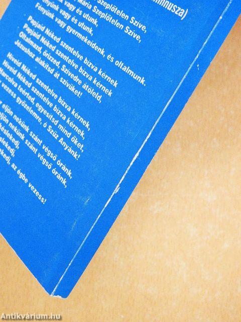 A papokhoz, Szűzanyánk szeretett fiaihoz