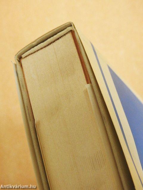 Télidő havazás előtt