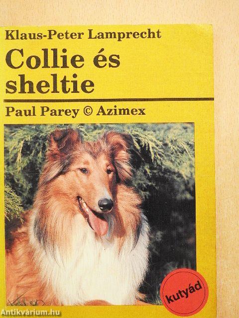 Collie és sheltie