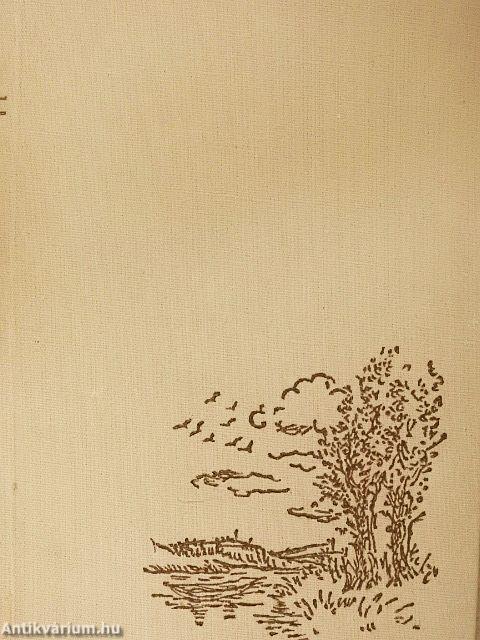 Magyar táj, magyar ecsettel