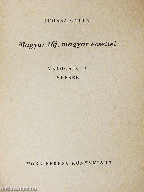 Magyar táj, magyar ecsettel