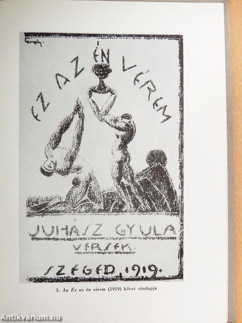 Juhász Gyula összes művei - Kritikai kiadás 1-9.