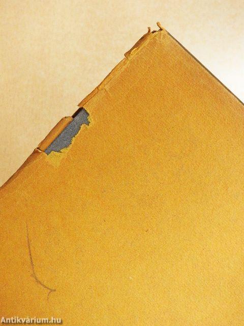 Das Problem der Willensfreiheit (gótbetűs)