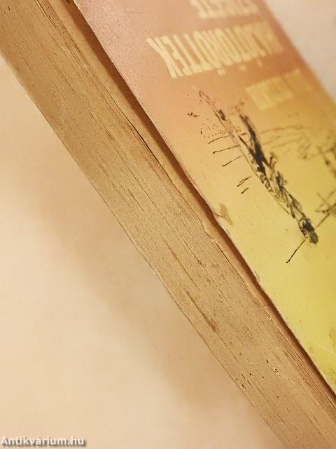 Hajótöröttek szigete