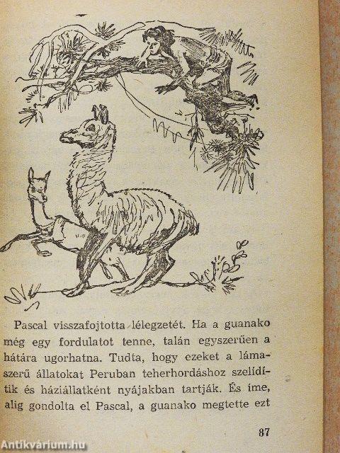 Hajótöröttek szigete