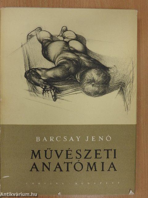 Művészeti anatómia