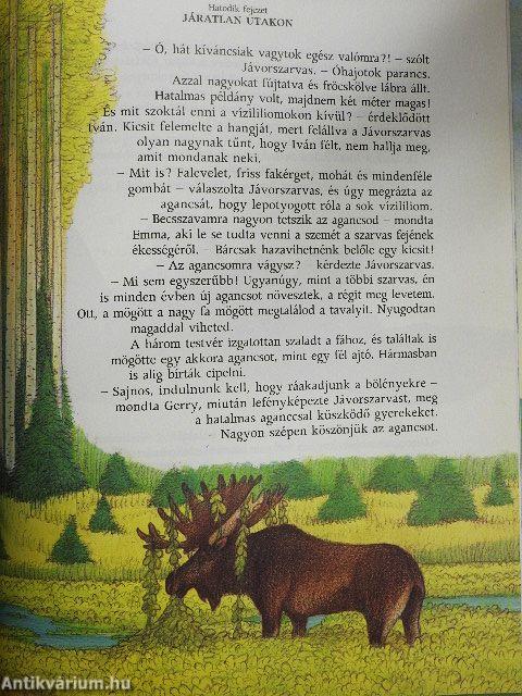 Léghajóval a világ körül