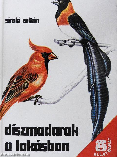 Díszmadarak a lakásban