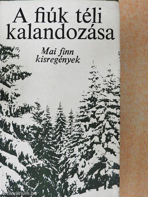 A fiúk téli kalandozása
