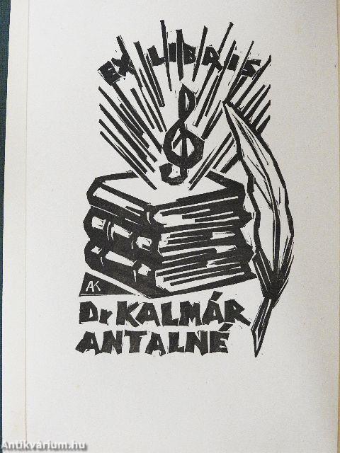 A fiúk téli kalandozása