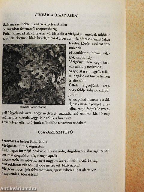 Szobanövények kézikönyve