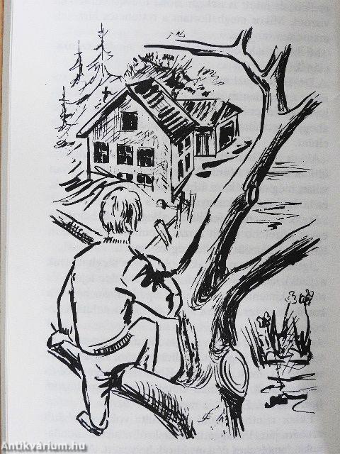 Az elátkozott udvarház