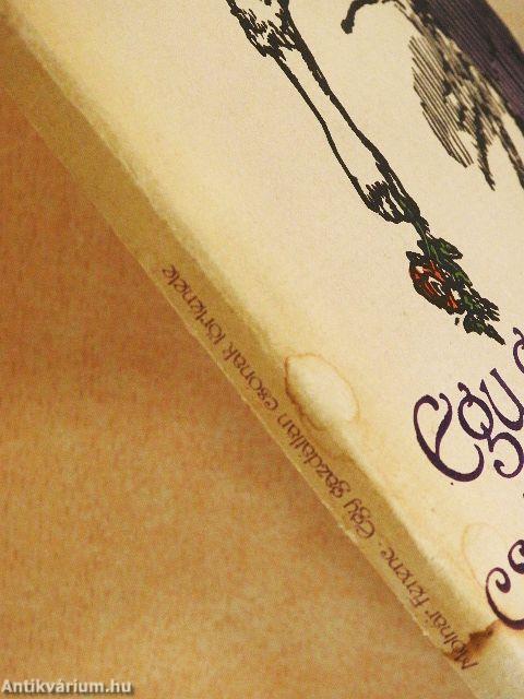 Egy gazdátlan csónak története