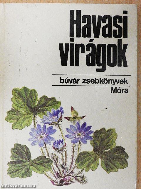 Havasi virágok
