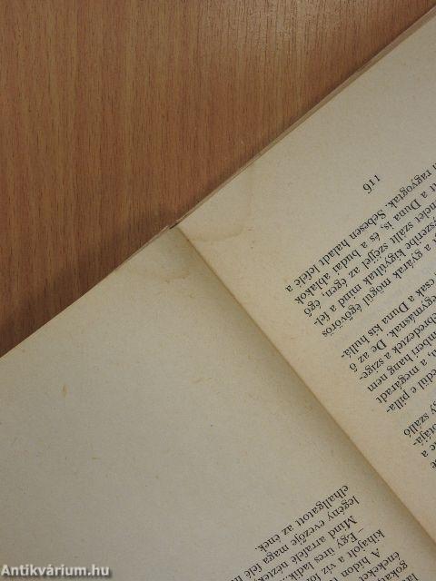 Egy gazdátlan csónak története