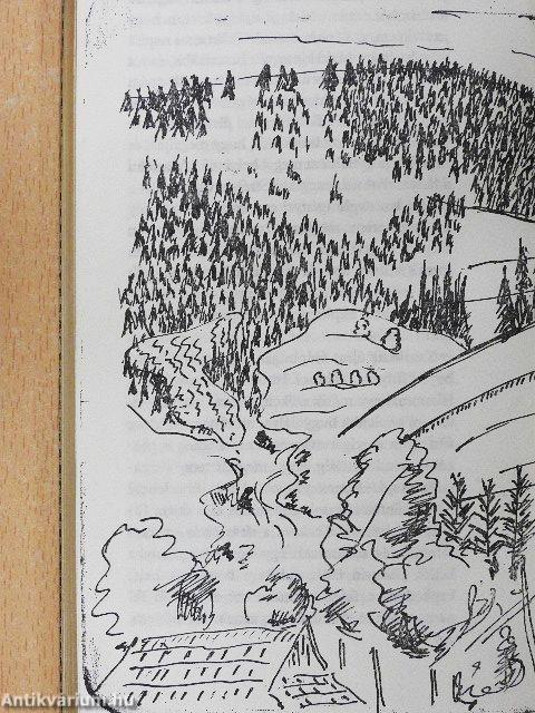 Kicsi-világ-háború