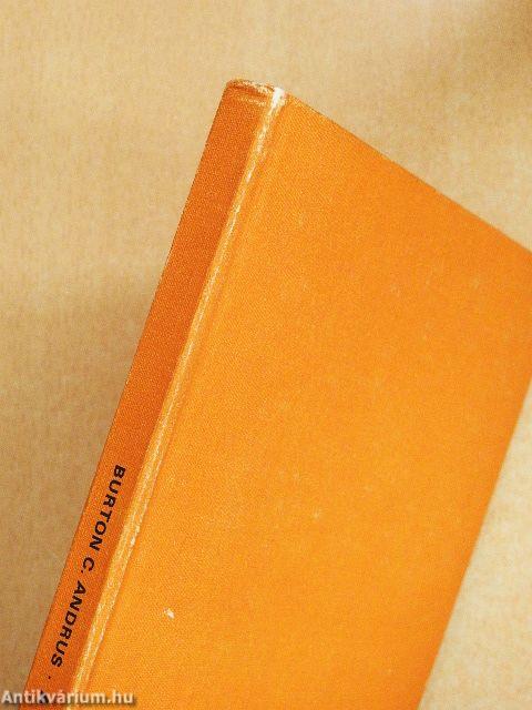 A nürnbergi huszonkettő