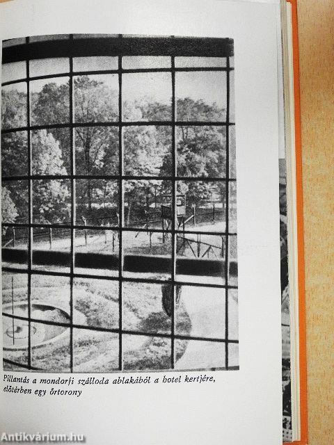 A nürnbergi huszonkettő