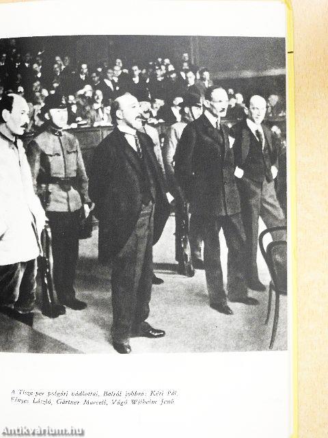 Egy politikai per kulisszatitkai