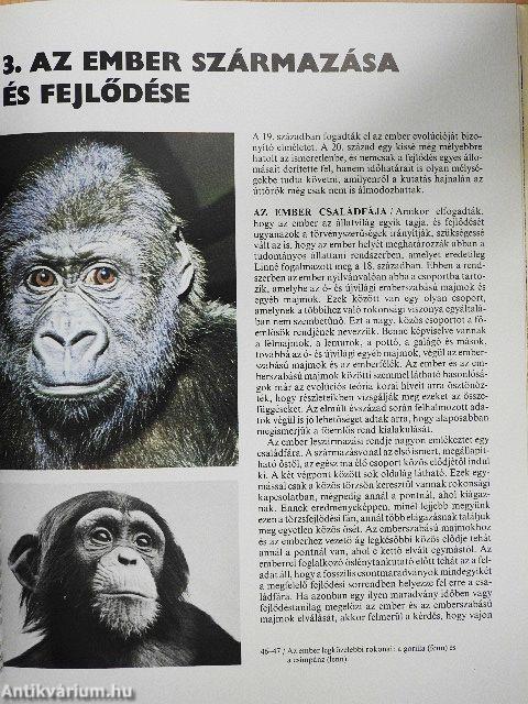 Az ember őstörténete