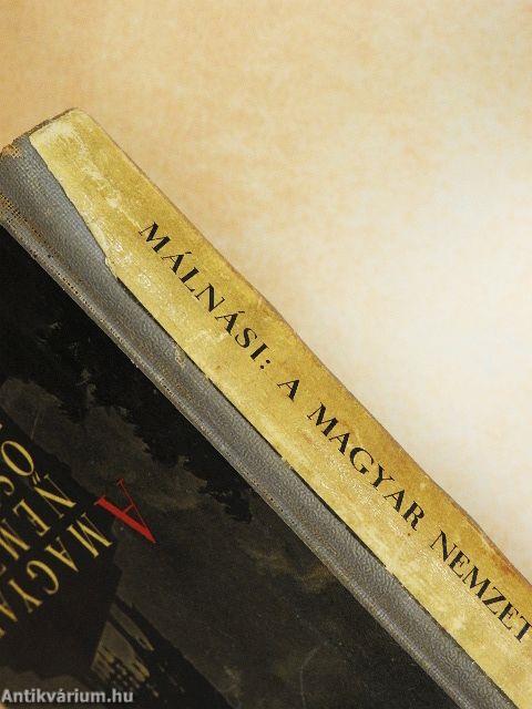 A magyar nemzet őszinte története