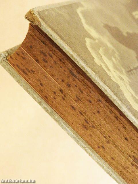 A magyar nemzet őszinte története