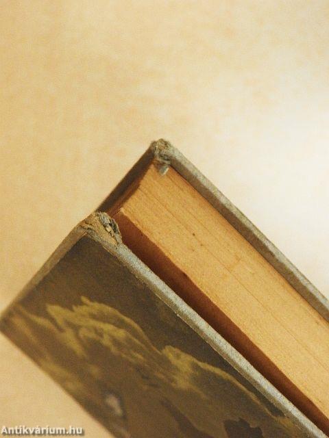 A magyar nemzet őszinte története