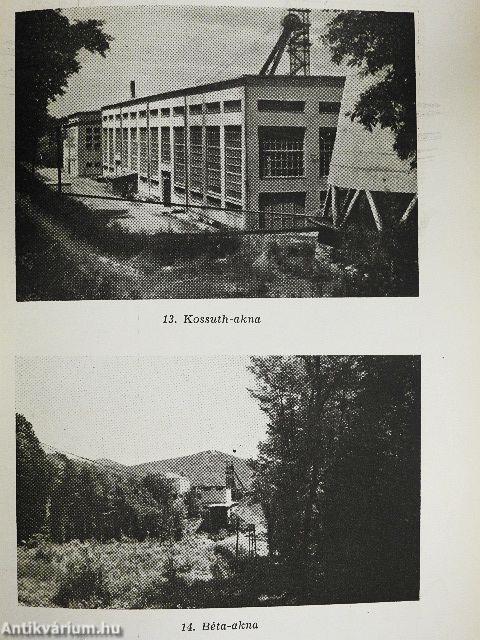 A komlói kőszénbányászat története