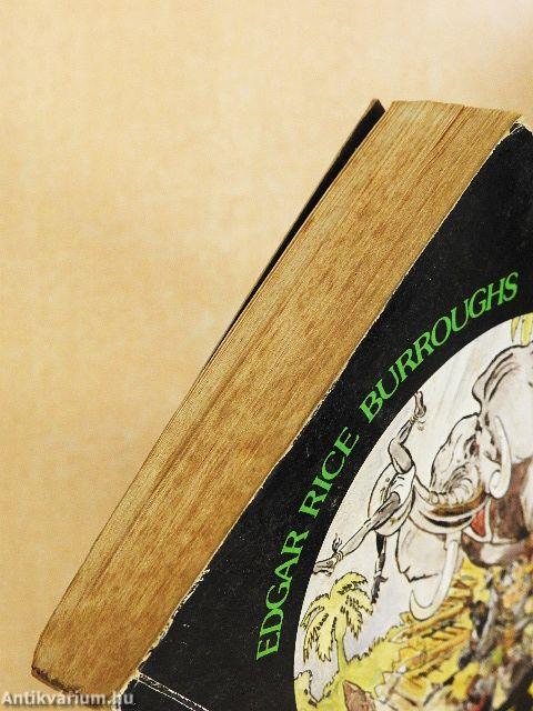 Tarzan dzsungeltörténetei