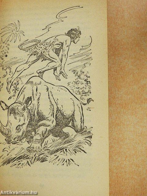 Tarzan dzsungeltörténetei