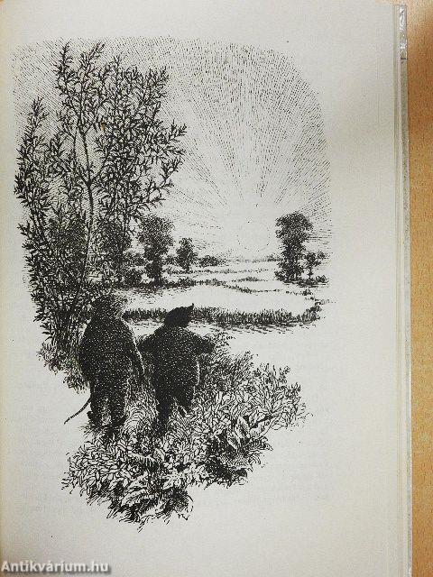 Békavári uraság és barátai